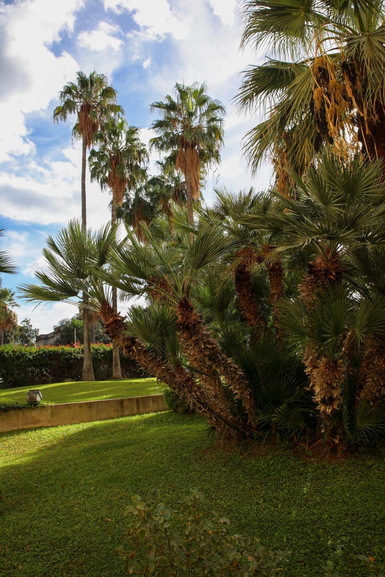 Appartamenti DueC Trapani Bagian luar foto
